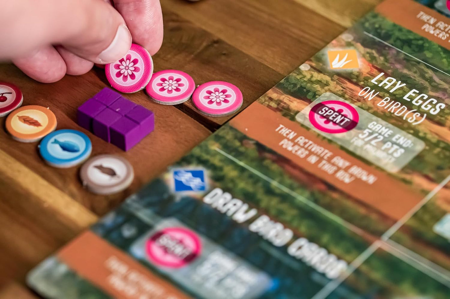Wingspan: Oceania Expansion – Explore the Beauty of the Wild!