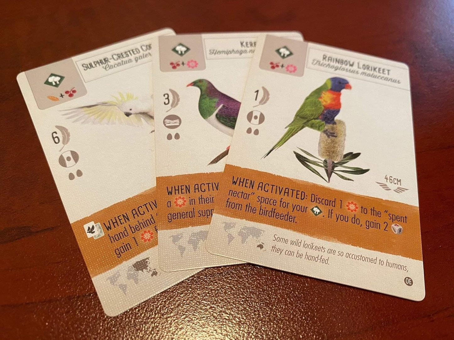 Wingspan: Oceania Expansion – Explore the Beauty of the Wild!