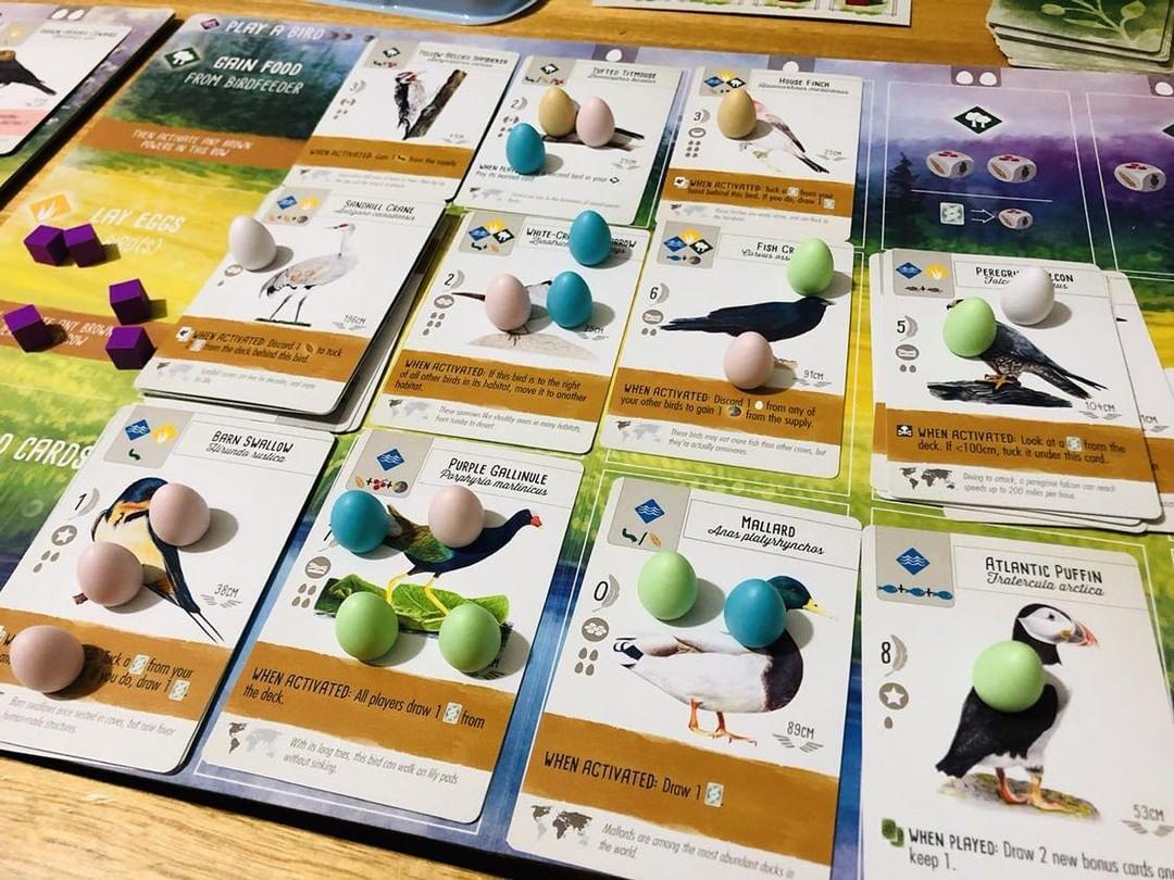 Wingspan – A Beautifully Strategic Board Game for Bird Lovers & Gamers Alike!