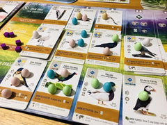 Wingspan – A Beautifully Strategic Board Game for Bird Lovers & Gamers Alike!
